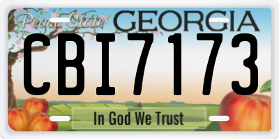 GA license plate CBI7173