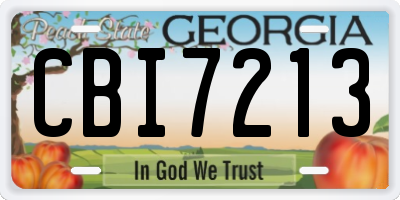 GA license plate CBI7213