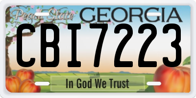GA license plate CBI7223