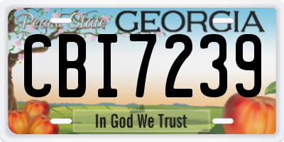 GA license plate CBI7239