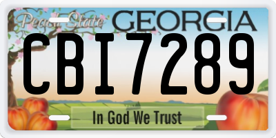 GA license plate CBI7289