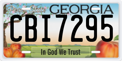 GA license plate CBI7295