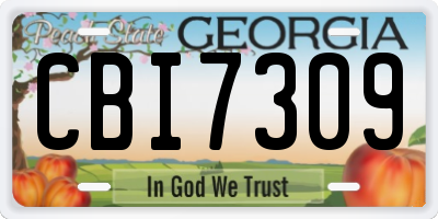 GA license plate CBI7309