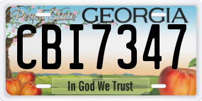 GA license plate CBI7347