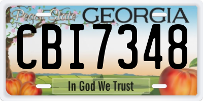 GA license plate CBI7348