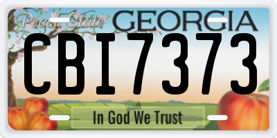GA license plate CBI7373