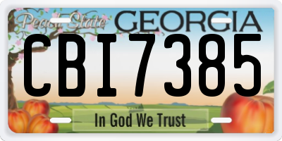 GA license plate CBI7385