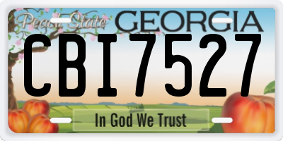 GA license plate CBI7527