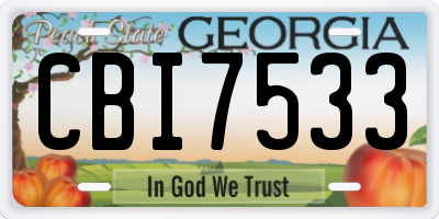 GA license plate CBI7533
