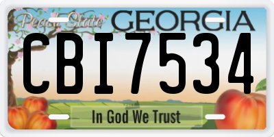 GA license plate CBI7534