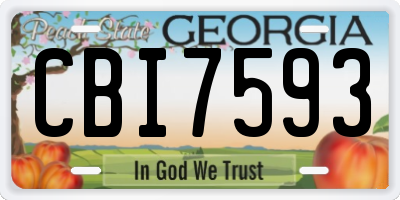 GA license plate CBI7593