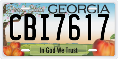 GA license plate CBI7617