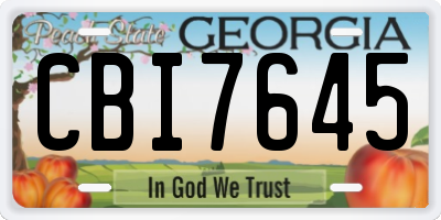 GA license plate CBI7645
