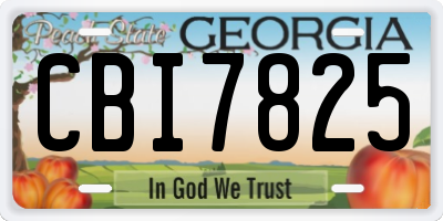 GA license plate CBI7825