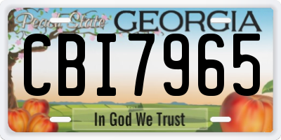 GA license plate CBI7965