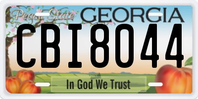 GA license plate CBI8044