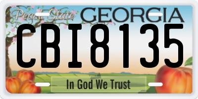 GA license plate CBI8135