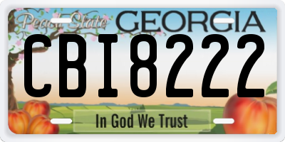 GA license plate CBI8222