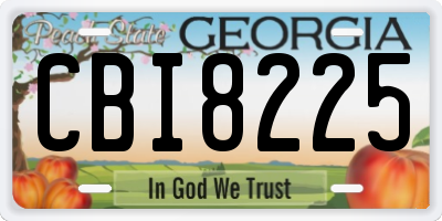GA license plate CBI8225