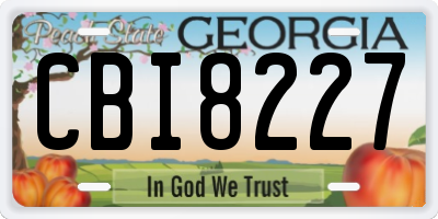 GA license plate CBI8227