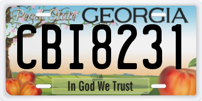 GA license plate CBI8231