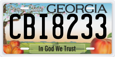GA license plate CBI8233