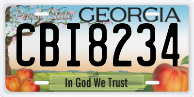 GA license plate CBI8234