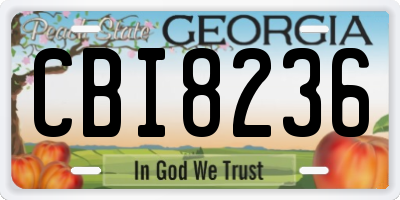 GA license plate CBI8236