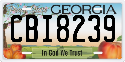 GA license plate CBI8239
