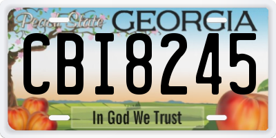 GA license plate CBI8245