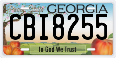 GA license plate CBI8255