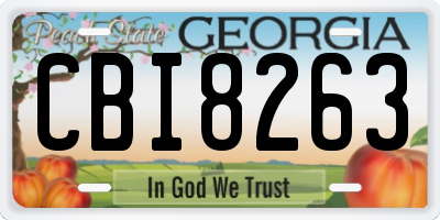 GA license plate CBI8263