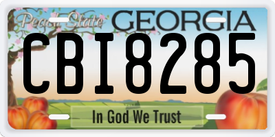 GA license plate CBI8285