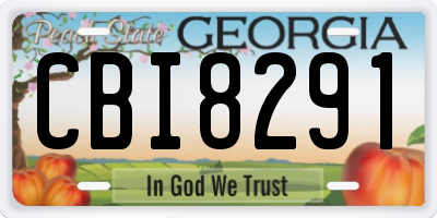 GA license plate CBI8291