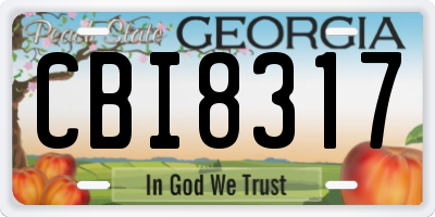 GA license plate CBI8317