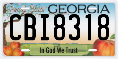 GA license plate CBI8318