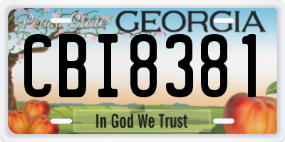 GA license plate CBI8381