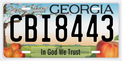 GA license plate CBI8443