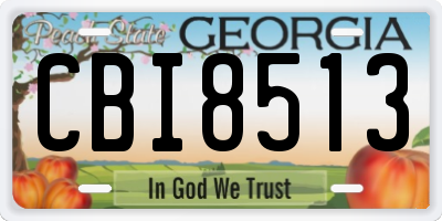 GA license plate CBI8513