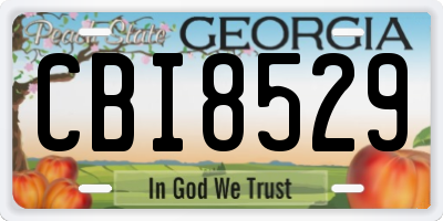 GA license plate CBI8529