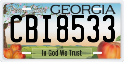 GA license plate CBI8533