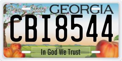 GA license plate CBI8544