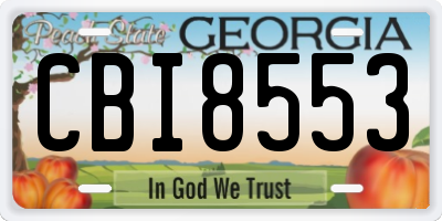 GA license plate CBI8553
