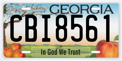GA license plate CBI8561