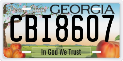 GA license plate CBI8607