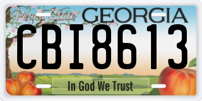 GA license plate CBI8613