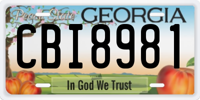 GA license plate CBI8981