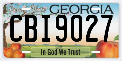 GA license plate CBI9027
