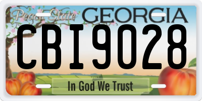 GA license plate CBI9028