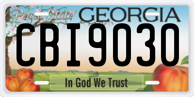 GA license plate CBI9030